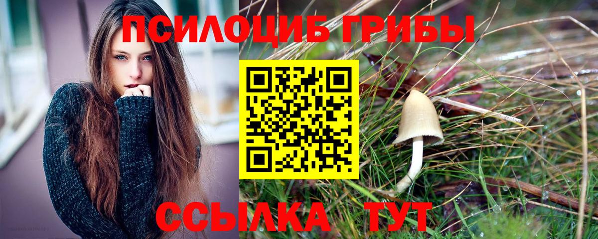 Шебекино  Галлюциногенные грибы Magic Shrooms  Вход с VPN 